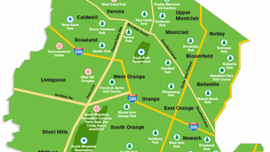 Essex County, NJ: Black Power, Immigrant Roots, and the County That Keeps Setting the Tone