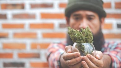 From Street Corners to Storefronts: Black Entrepreneurs and New Jersey’s Legal Green Rush