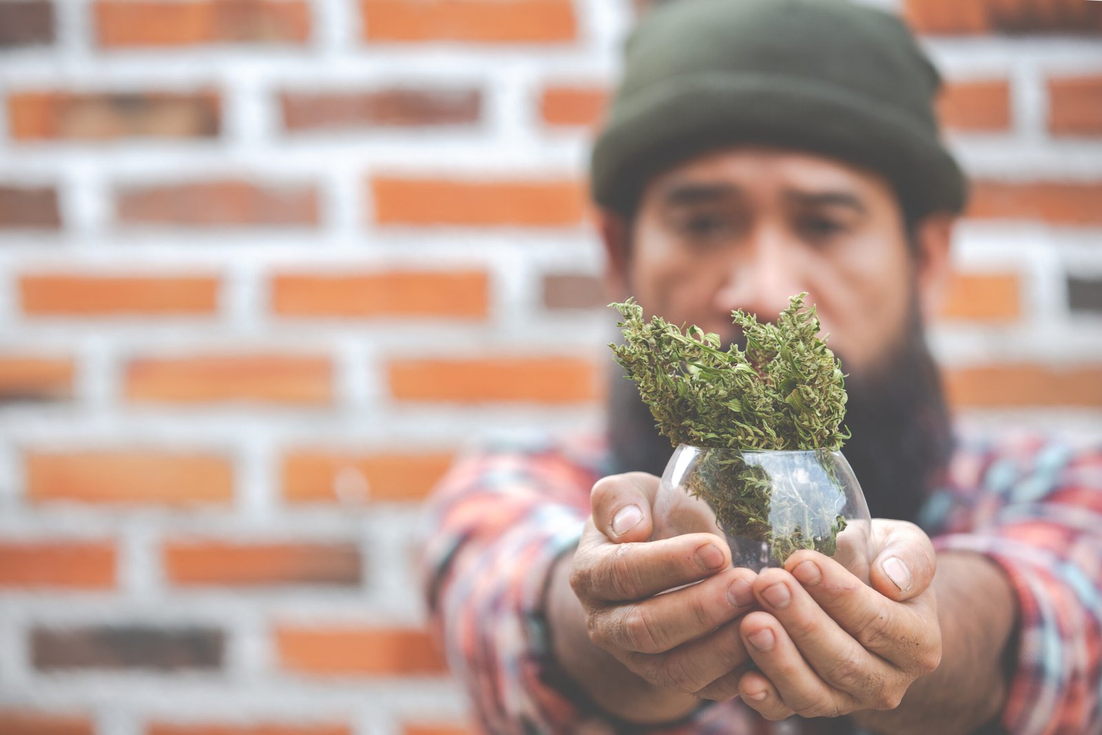 From Street Corners to Storefronts: Black Entrepreneurs and New Jersey’s Legal Green Rush