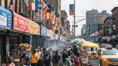 Flatbush: Brooklyn’s Caribbean Crossroads and the Future of Diaspora Pride
