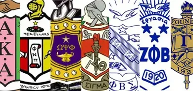 Divine Nine community service