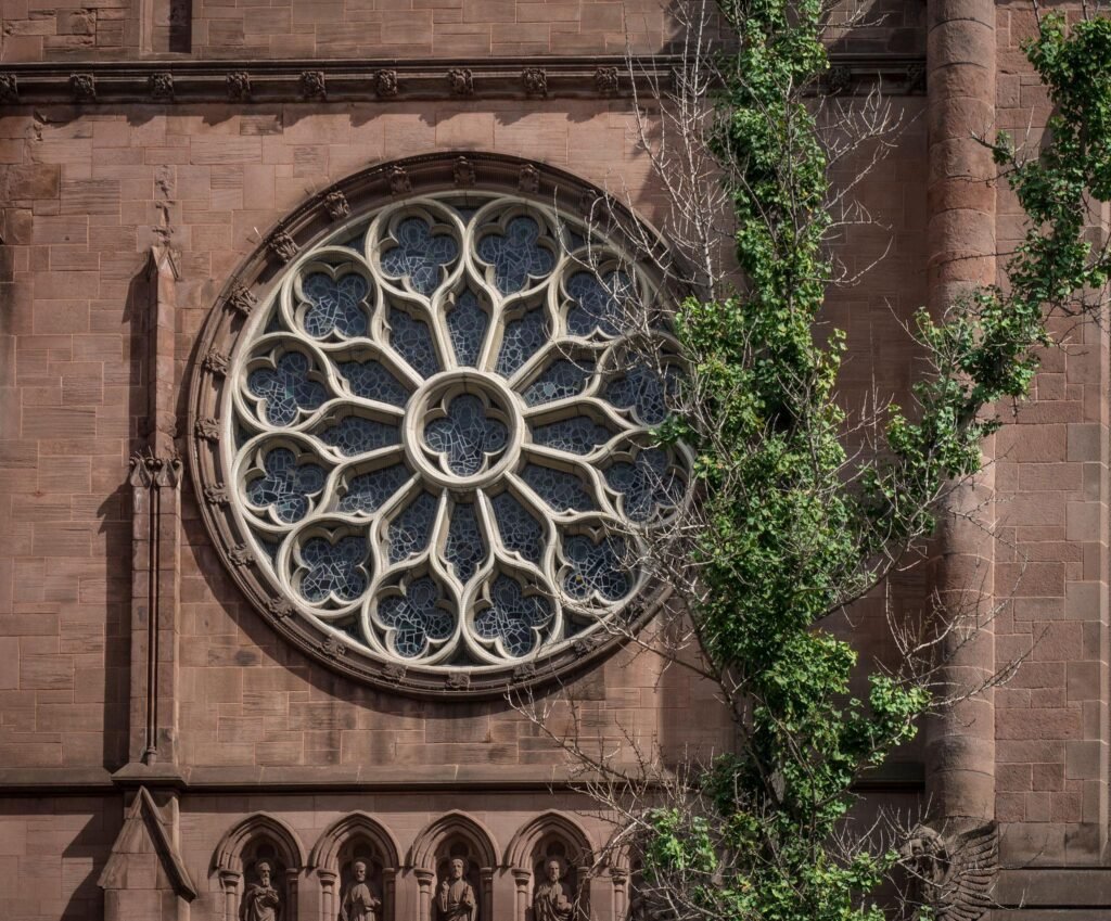 The Hartby Bed-Stuy Gentrification